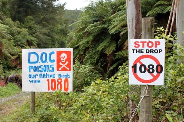 Australia to Vaccinate Native Birds Against H5 Bird Flu