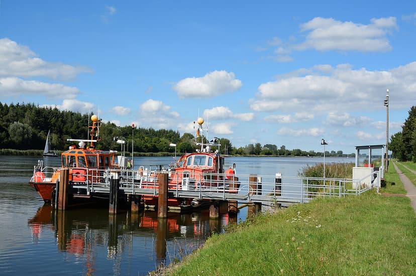 Königspython an Kanalufer in Schleswig-Holstein entdeckt