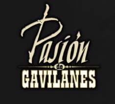 Mario Cimarro denuncia estar vetado en la televisión tras éxito de Pasión de gavilanes