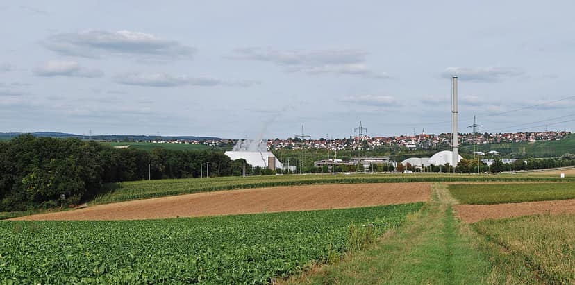 Quallenplage bringt drei Atomreaktoren in Frankreich zum Stillstand