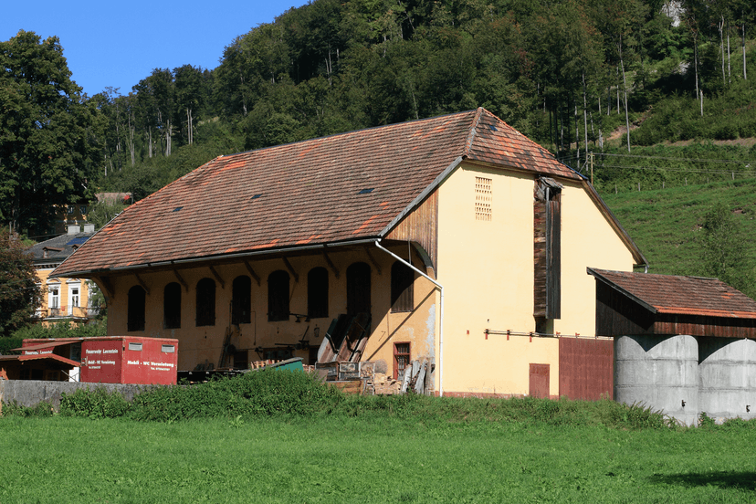 Forschung zum "Bauernhofeffekt": Kuhstall als Allergieprävention