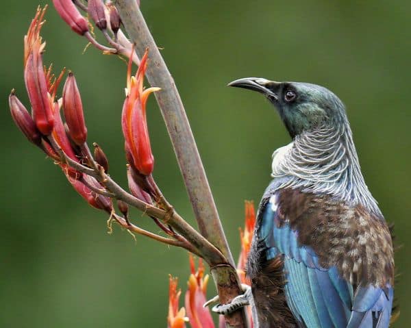 TUI erwägt Reduzierung der Flotte in Belgien wegen höherer Flugsteuer