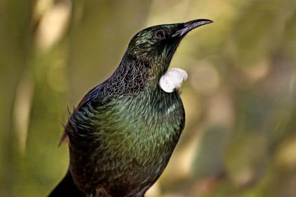 TUI erwägt Reduzierung der Flotte in Belgien wegen höherer Flugsteuer