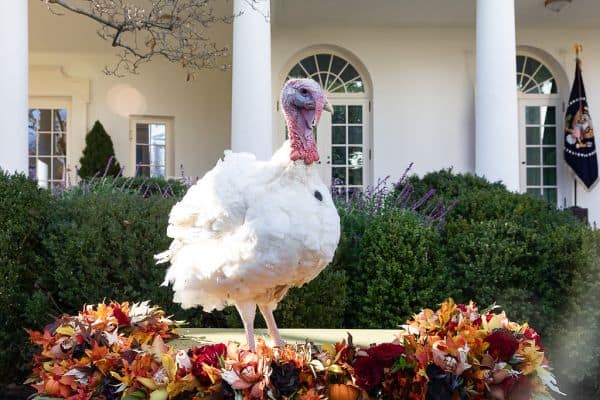 Trump Used Catering Cart for Secret Departure from Turkey Amid Iranian Threat