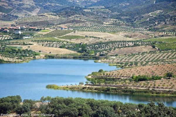 Produktion erneuerbarer Elektrizität in Portugal sinkt bis Juli auf 75%