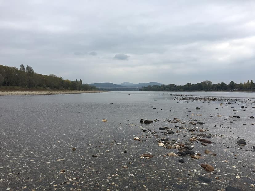 Niedrigwasser im Rhein führt zu höheren Kraftstoffpreisen