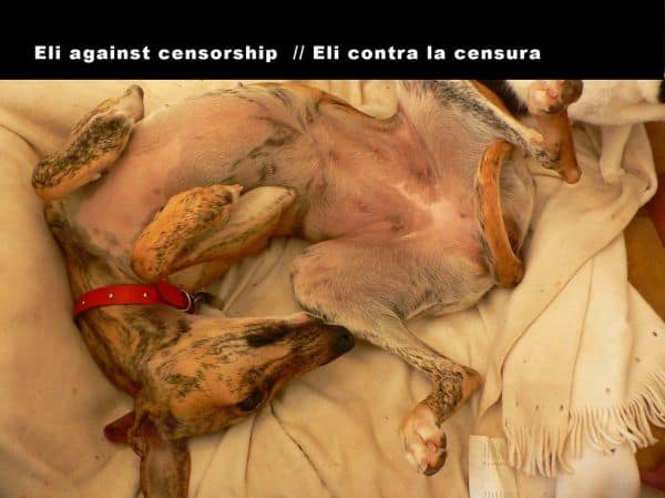 Venezuela. Mês de julho foi marcado pela censura e opacidade oficial