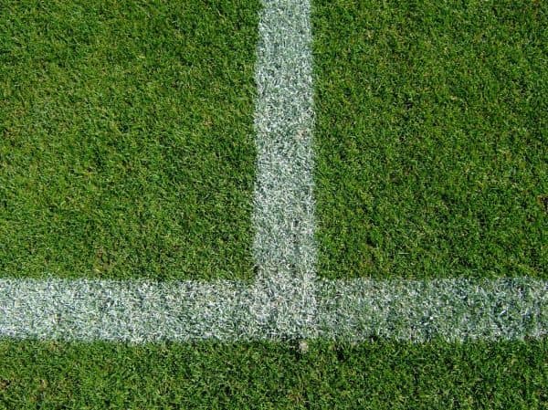 Liga explica autorização do jogo Estrela-Sporting em relvado em más condições